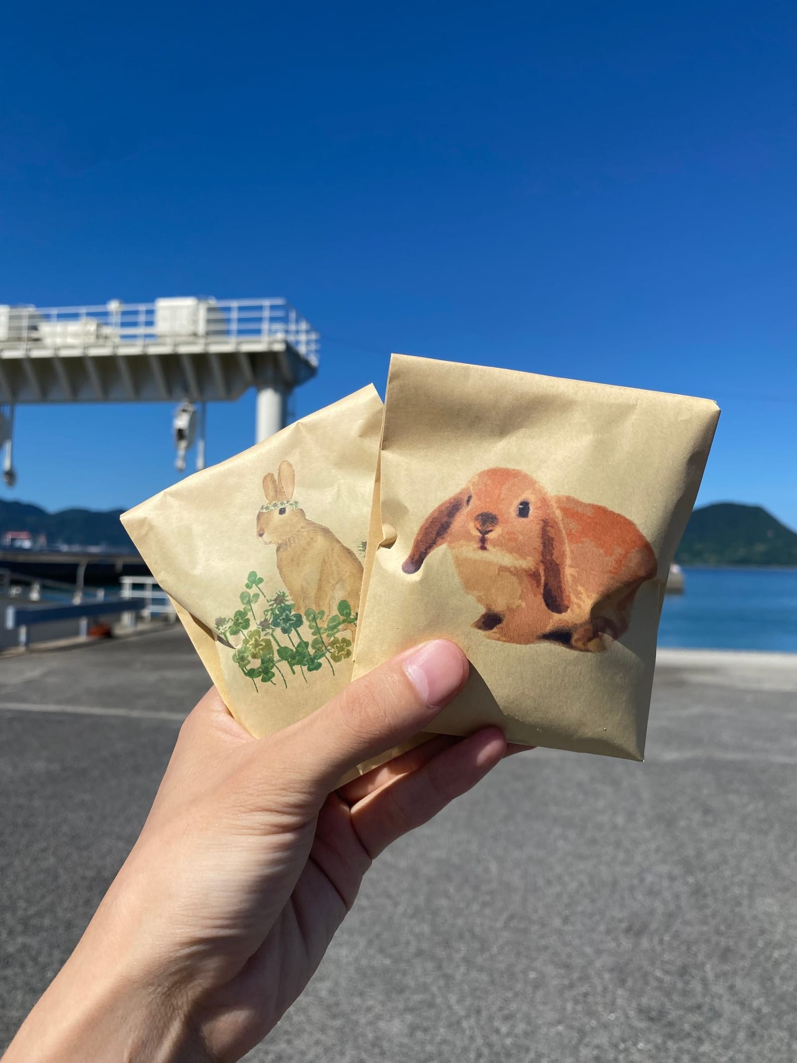 Photograph of two paper bags of rabbit food, each printed with a watercolour rabbit, held up at the port with the ferry gangway and the Seto Inland Sea behind.
