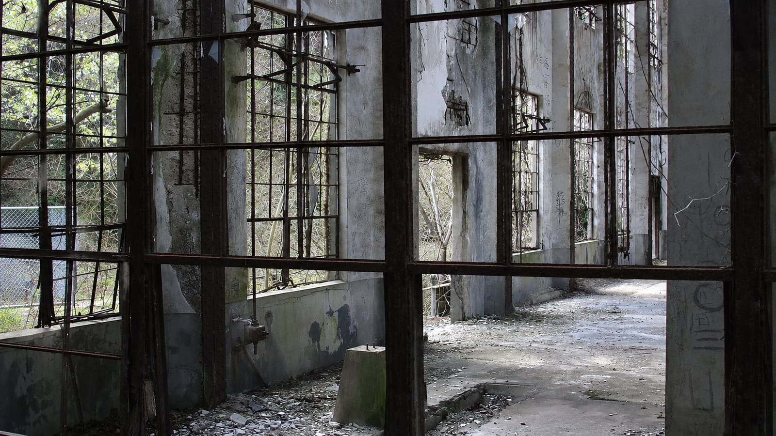 The interior of an abandoned poison-gas factory building on Okunoshima, its tall steel window frames rusted and empty and its concrete walls stained and peeling, with trees and undergrowth pressing in through the openings and debris scattered across the floor.